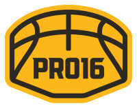 pro16 logo